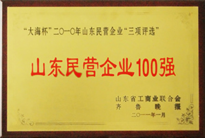 被评为“山东民营企业100强”